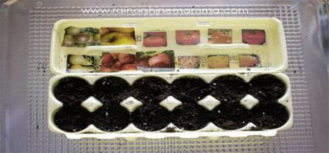 the tale of peter rabbit craft